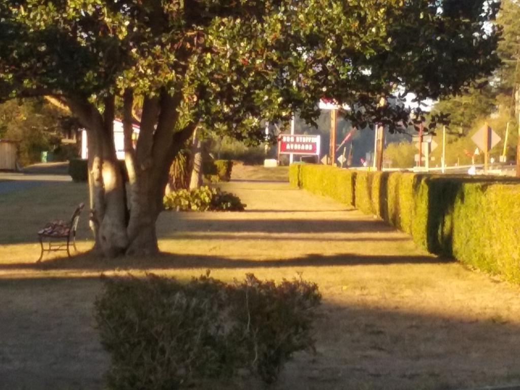 Bay Bridge Motel ノースベンド エクステリア 写真